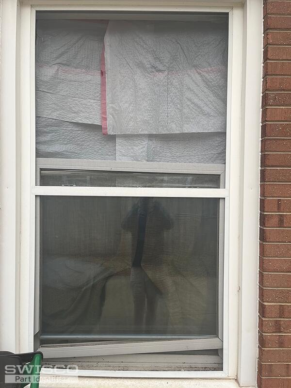 Window4