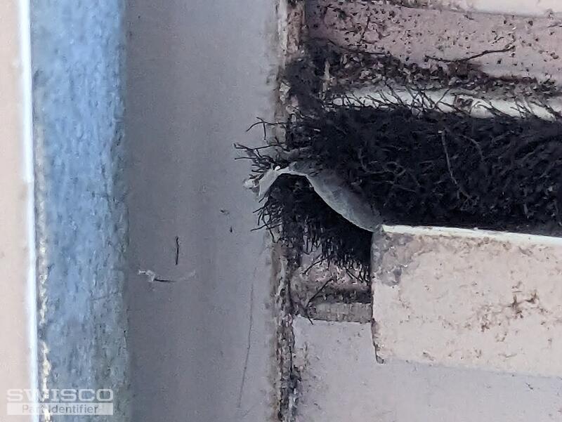 window_pile_groove