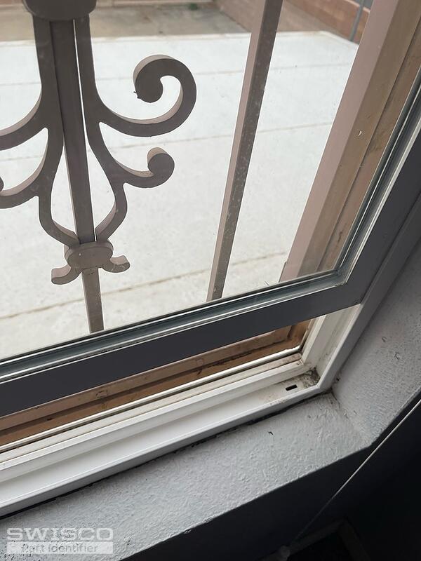 image1 (1)