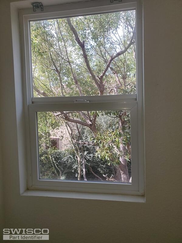 Window pic