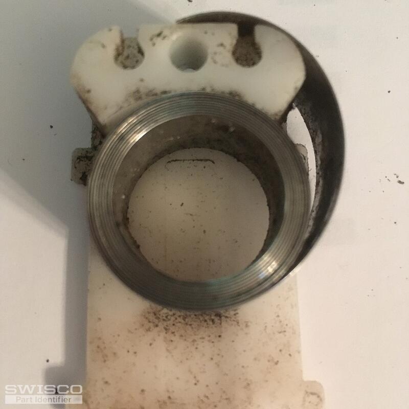 IMG_4568