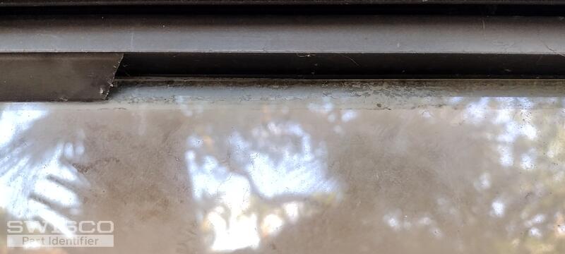IMG_20230304_171941010