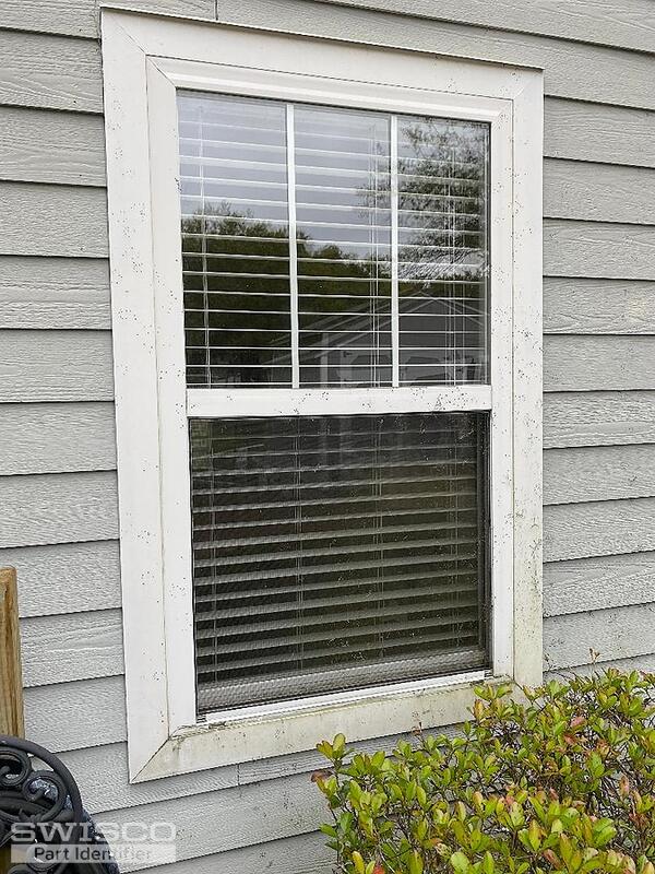 Thumbnail of the uploaded file named Outside of window.jpg