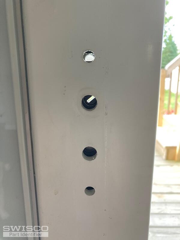 IMG_6937