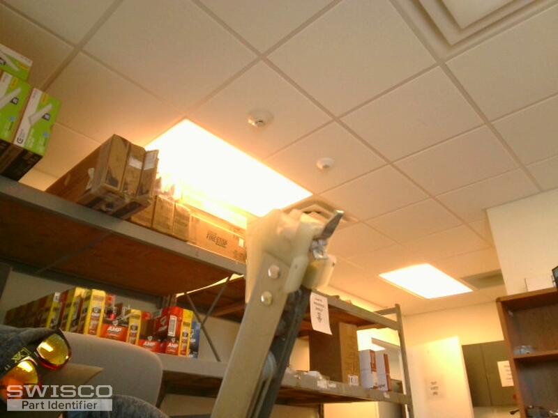 webcam-5/17/2023, 1:42:33 PM
