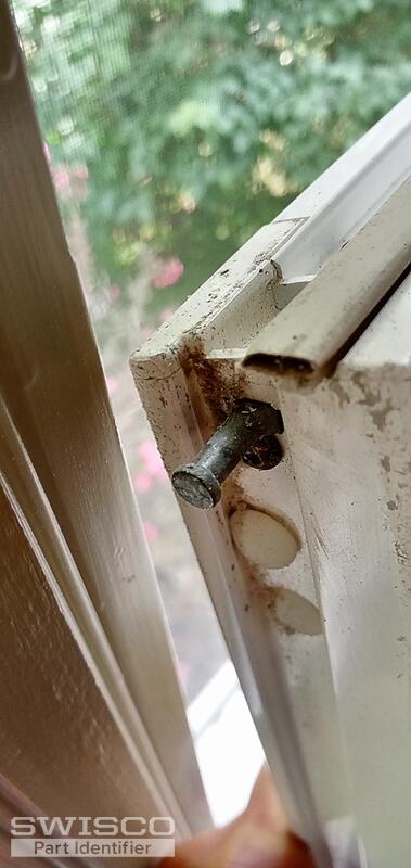 IMG_20230609_132156