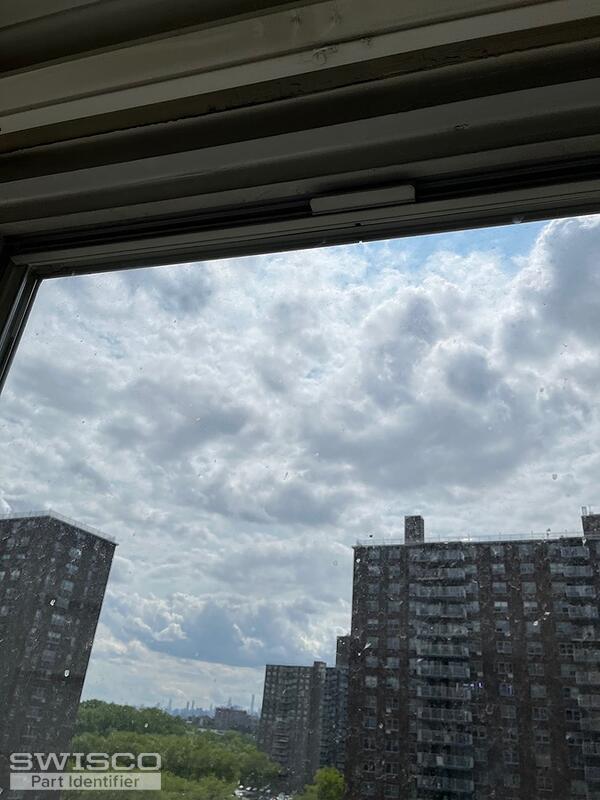 Thumbnail of the uploaded file named IMG_1331.jpeg