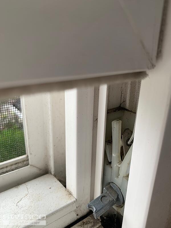 image1 (12)