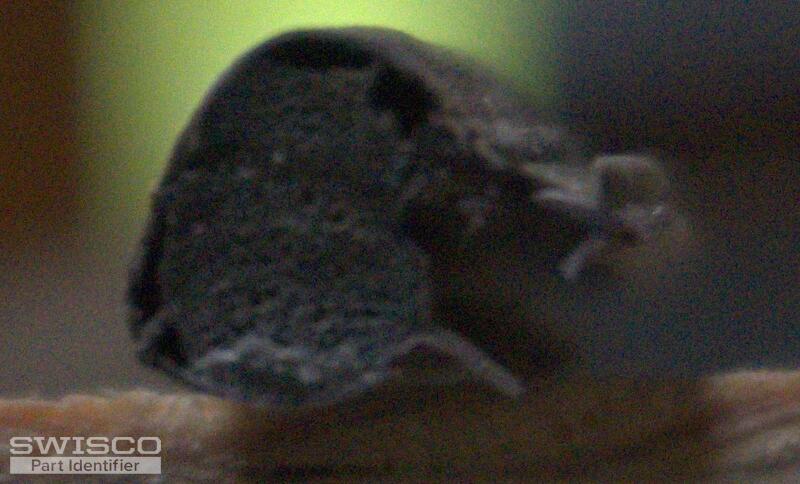 DSC02915