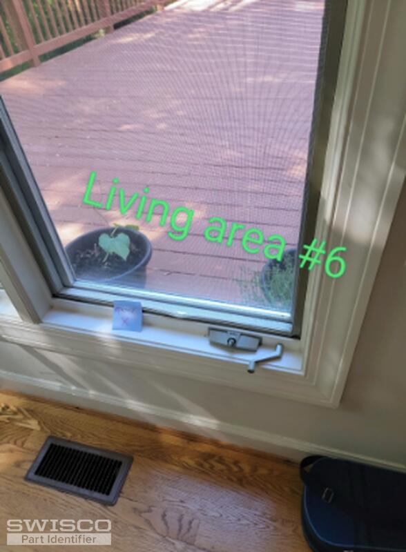 Window 6