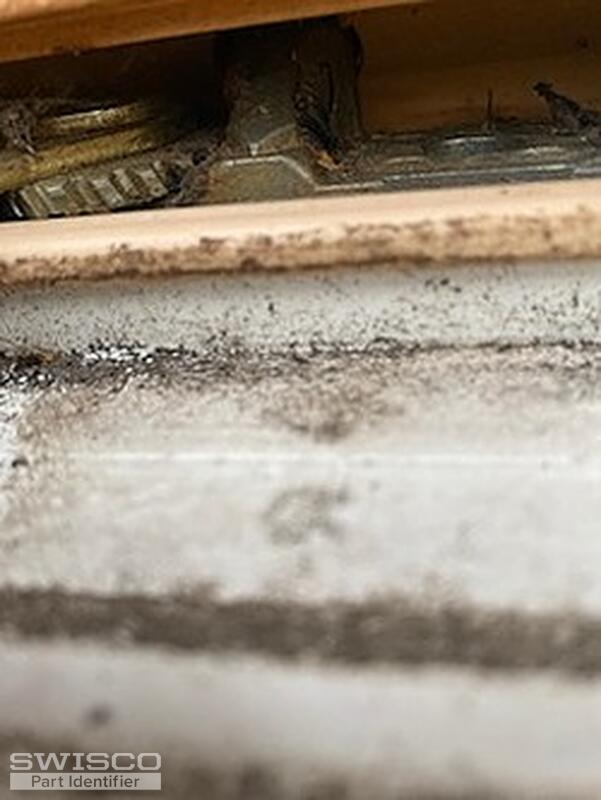IMG_7538 (1)