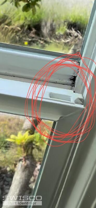 Earl Window