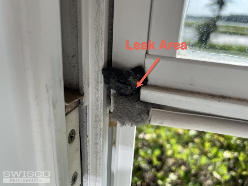 Window Seals 1