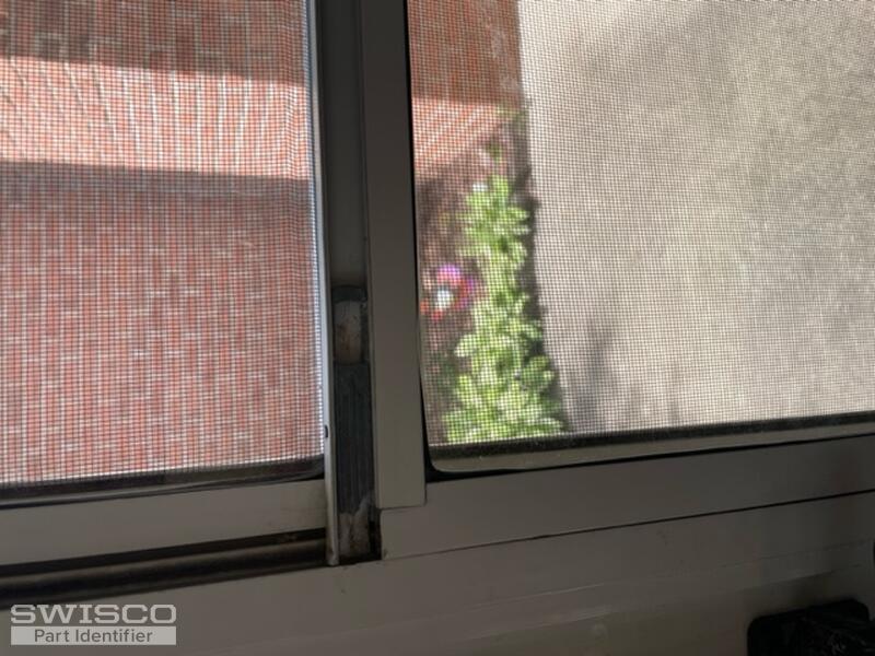 image1 (19)