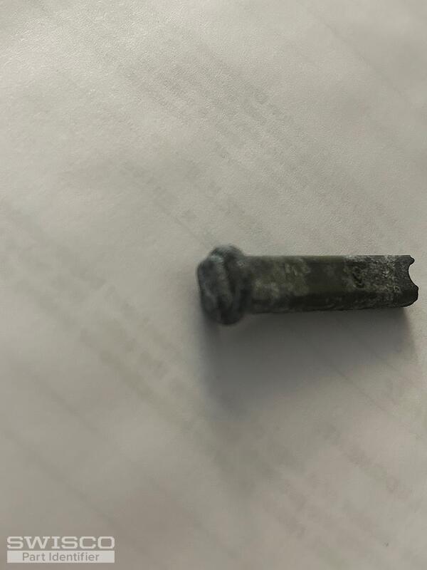 IMG_5017