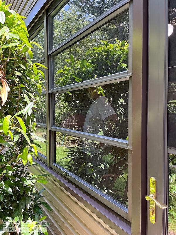 hebling glazing strip window view