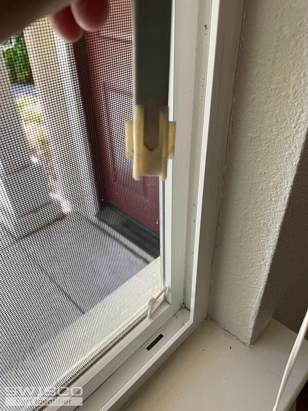 IMG_8918
