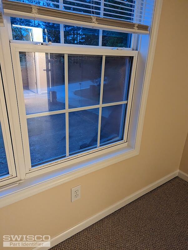 Window