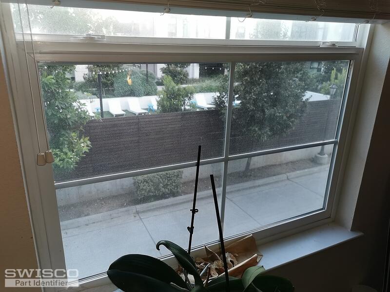 window