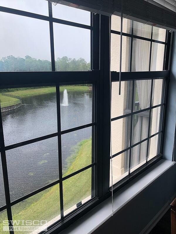 IMG-4241