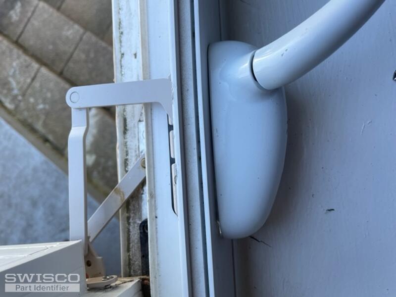 IMG_2941 (1)