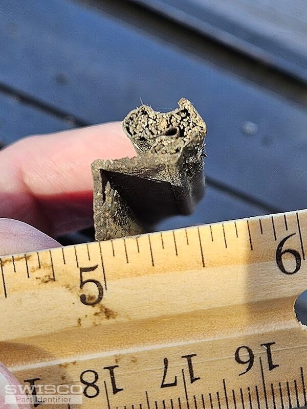 seal photo 1