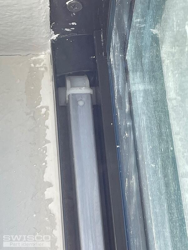 IMG_4796