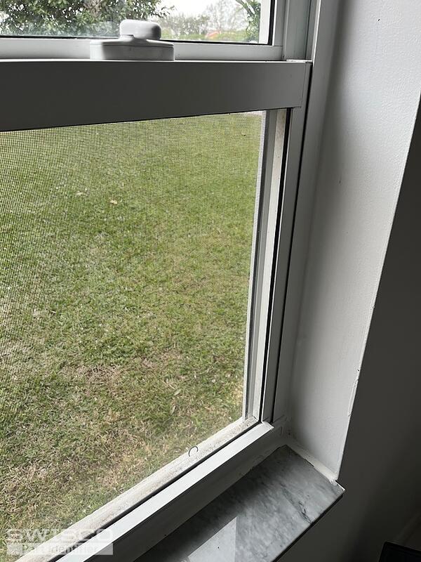 window 4