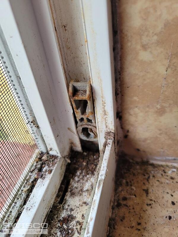 window 4