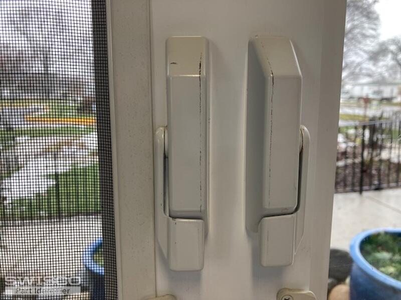 LOCKS TURNED