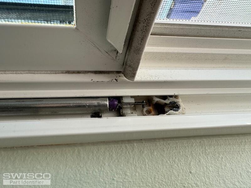 IMG_0011