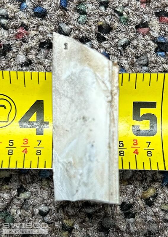 stationary window spline