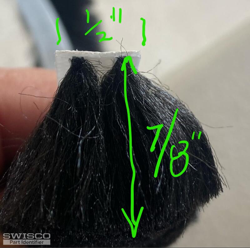 Bottom brush Progressive
