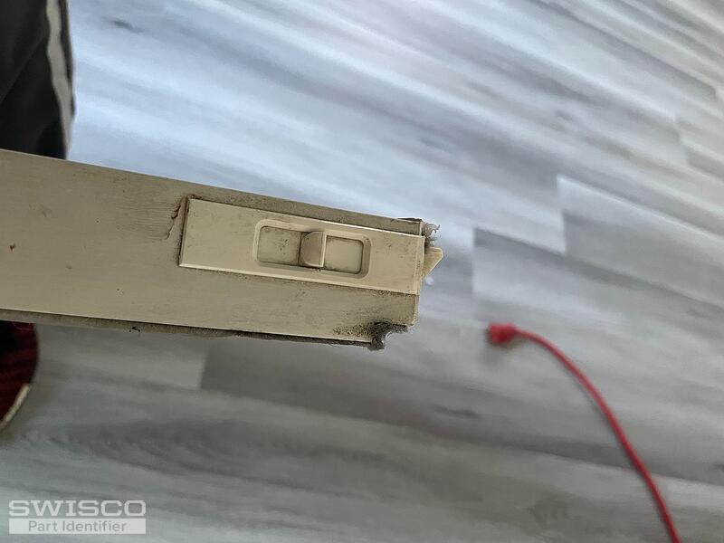 IMG_6981