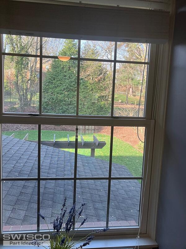 Window