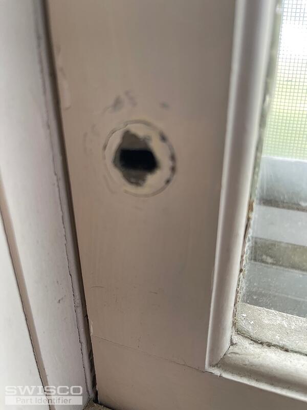 IMG_7281