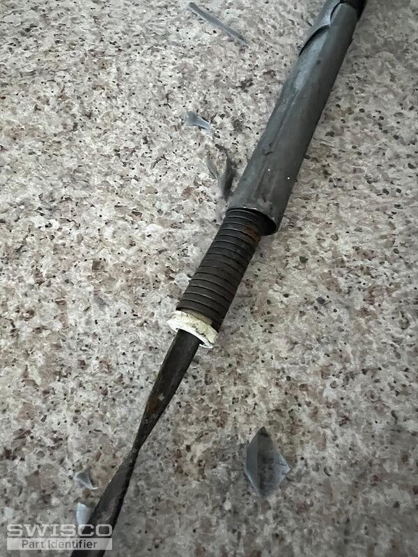 white tip bearing