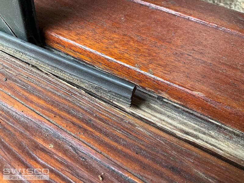 IMG_1848