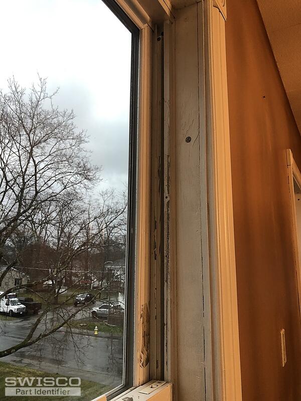 WINDOW 2 - Copy