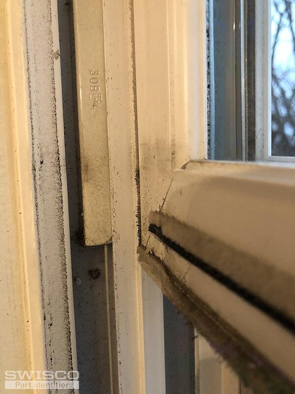 WINDOW 4 - Copy