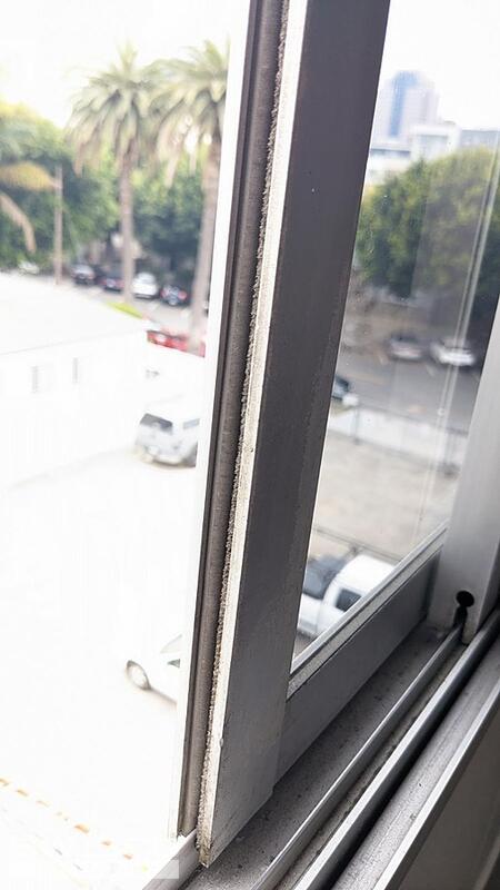 IMG_20240412_091843