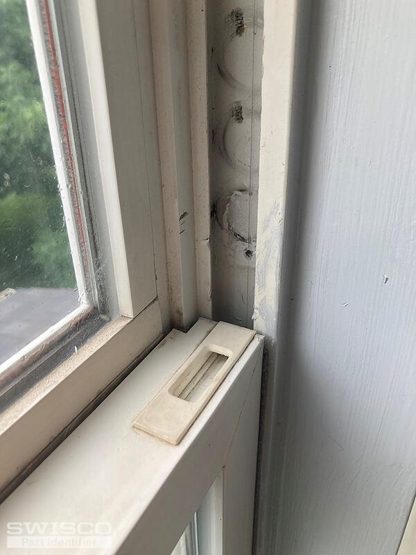 Window Picture 1