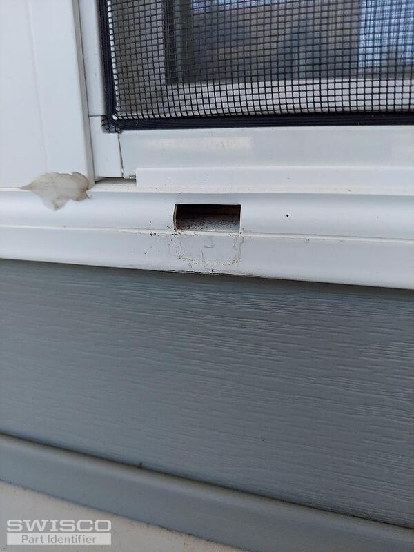 Window 1