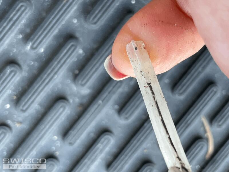 worn bubble seal