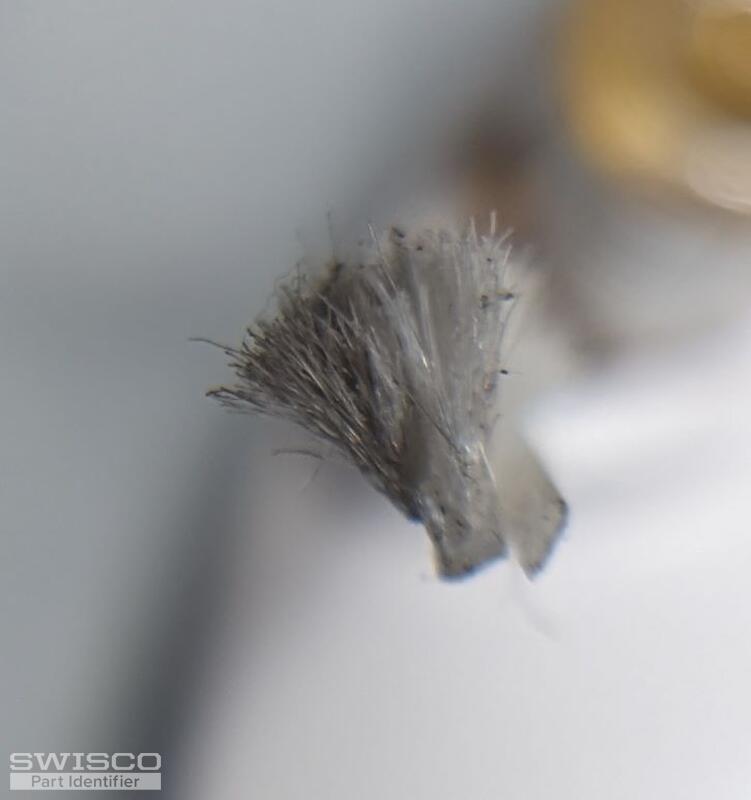 Tuft 002