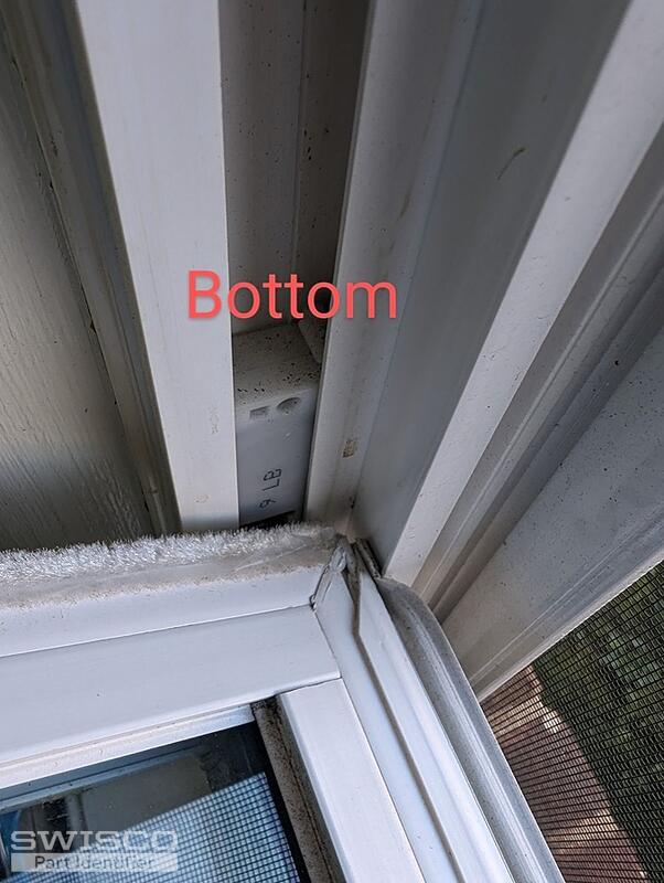 bottom 1