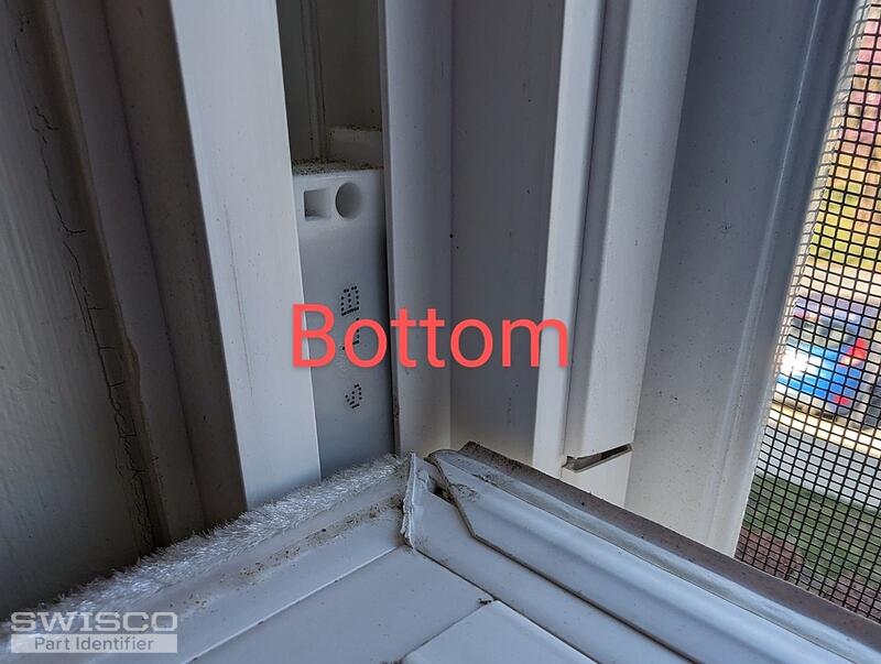 bottom 2
