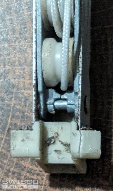 Bottom Shoe Inside View