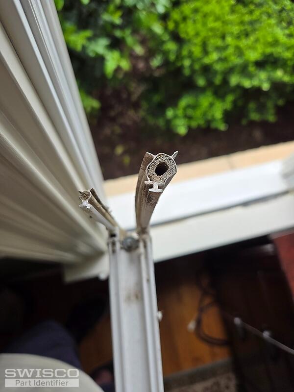Window Seals