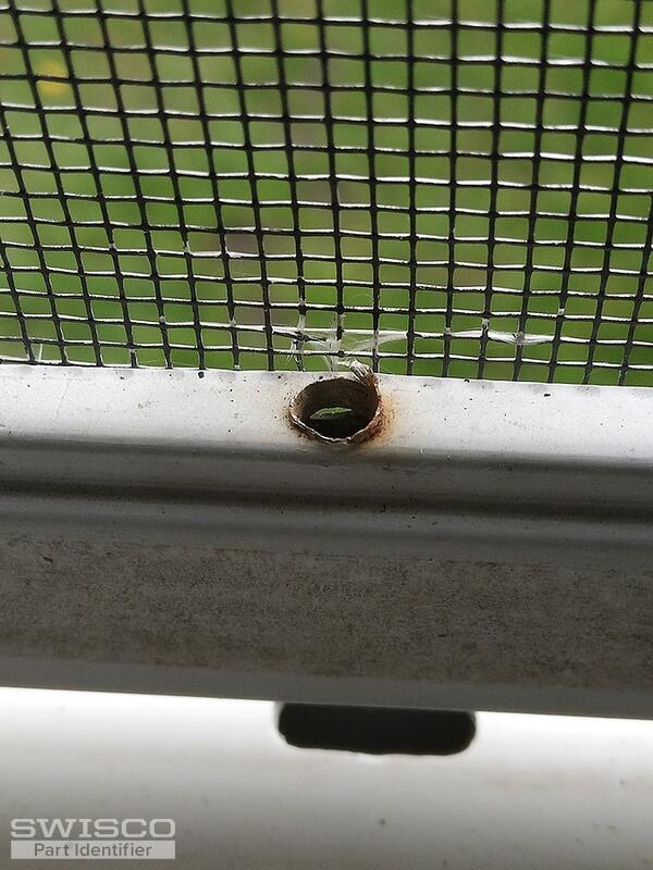 window screen